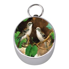 Backdrop Colorful Bird Decoration Mini Silver Compasses by Nexatart