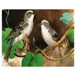 Backdrop Colorful Bird Decoration Double Sided Flano Blanket (Medium)  60 x50  Blanket Back