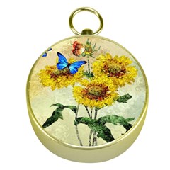 Backdrop Colorful Butterfly Gold Compasses by Nexatart