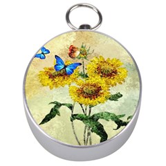 Backdrop Colorful Butterfly Silver Compasses by Nexatart