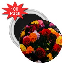 Beautifull Flowers 2 25  Magnets (100 Pack)  by Nexatart