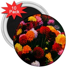 Beautifull Flowers 3  Magnets (10 Pack)  by Nexatart