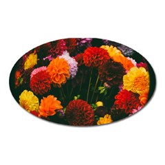 Beautifull Flowers Oval Magnet by Nexatart