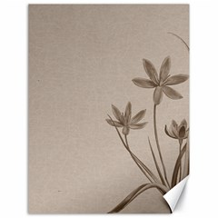 Background Vintage Drawing Sepia Canvas 18  X 24   by Nexatart