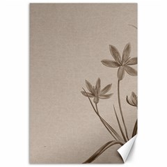 Background Vintage Drawing Sepia Canvas 24  X 36  by Nexatart