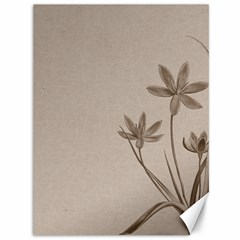 Background Vintage Drawing Sepia Canvas 36  X 48   by Nexatart