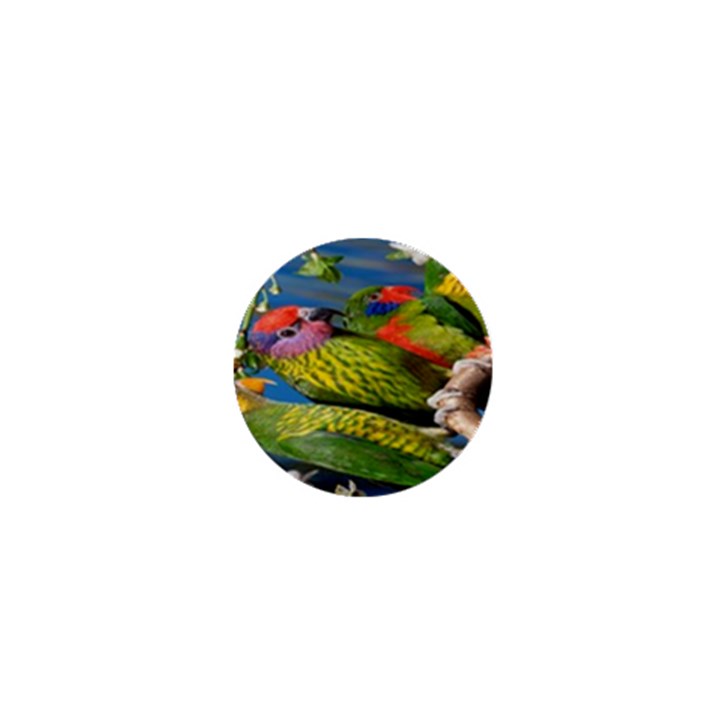 Beautifull Parrots Bird 1  Mini Buttons