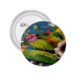 Beautifull Parrots Bird 2 25  Buttons by Nexatart