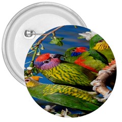 Beautifull Parrots Bird 3  Buttons by Nexatart