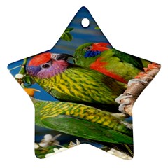 Beautifull Parrots Bird Ornament (star) by Nexatart