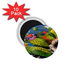 Beautifull Parrots Bird 1 75  Magnets (10 Pack)  by Nexatart