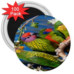 Beautifull Parrots Bird 3  Magnets (100 Pack) by Nexatart