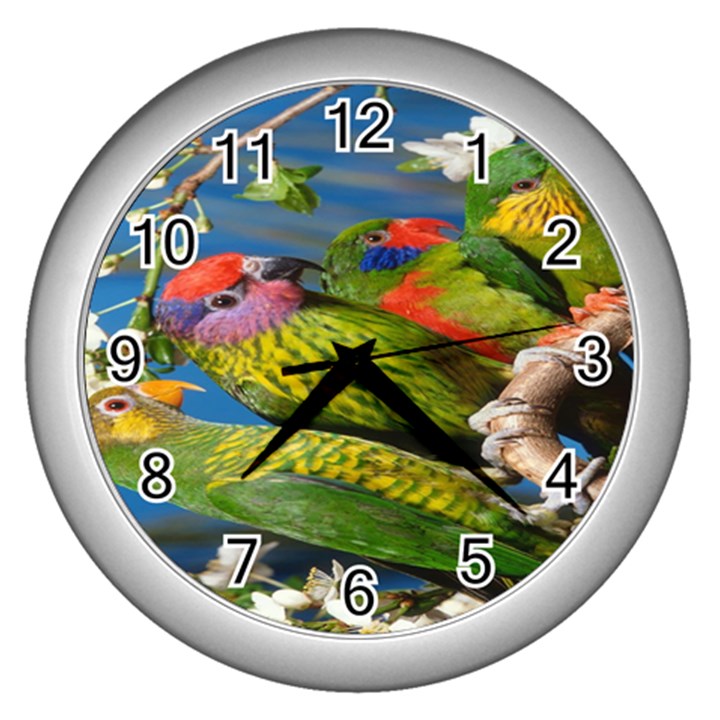 Beautifull Parrots Bird Wall Clocks (Silver) 