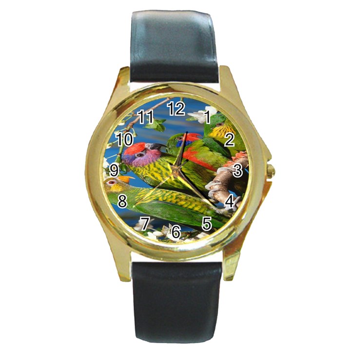 Beautifull Parrots Bird Round Gold Metal Watch