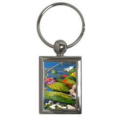 Beautifull Parrots Bird Key Chains (rectangle)  by Nexatart