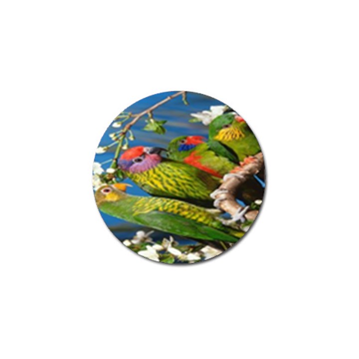 Beautifull Parrots Bird Golf Ball Marker (4 pack)