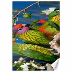 Beautifull Parrots Bird Canvas 12  X 18   by Nexatart