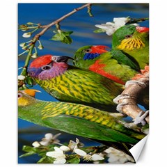 Beautifull Parrots Bird Canvas 16  X 20   by Nexatart