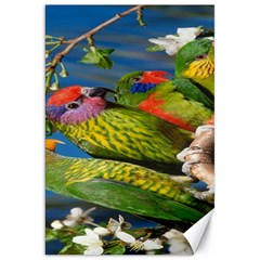 Beautifull Parrots Bird Canvas 20  X 30   by Nexatart