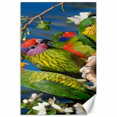 Beautifull Parrots Bird Canvas 24  X 36  by Nexatart