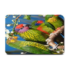 Beautifull Parrots Bird Small Doormat  by Nexatart