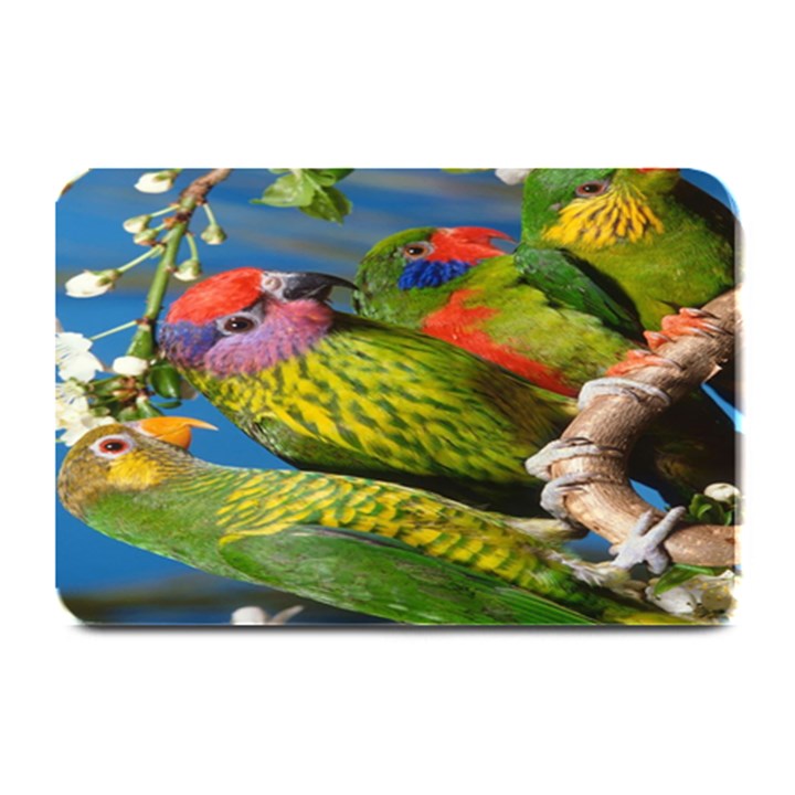 Beautifull Parrots Bird Plate Mats