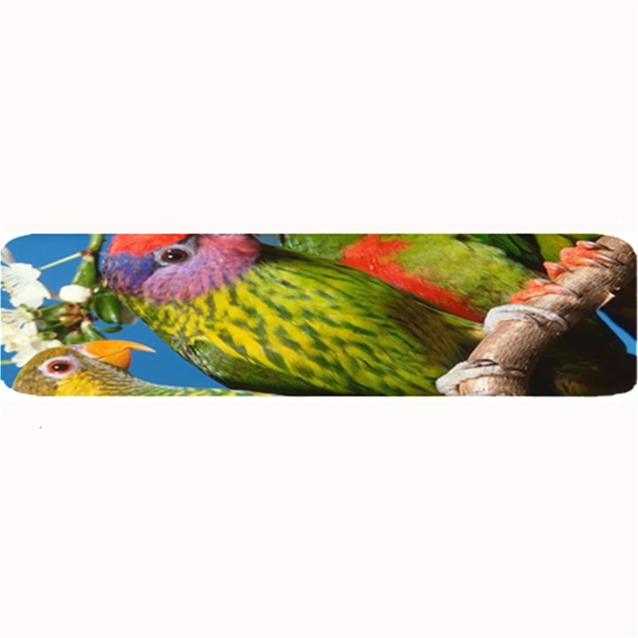 Beautifull Parrots Bird Large Bar Mats