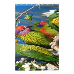 Beautifull Parrots Bird Shower Curtain 48  X 72  (small)  by Nexatart