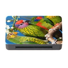 Beautifull Parrots Bird Memory Card Reader With Cf by Nexatart