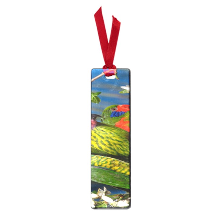 Beautifull Parrots Bird Small Book Marks