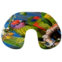 Beautifull Parrots Bird Travel Neck Pillows by Nexatart