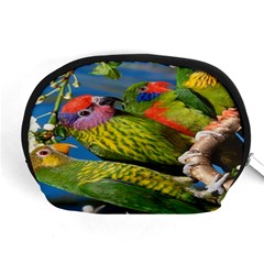 Beautifull Parrots Bird Accessory Pouches (medium)  by Nexatart