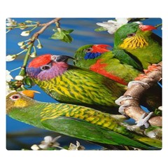 Beautifull Parrots Bird Double Sided Flano Blanket (small)  by Nexatart