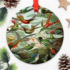 Beautiful Bird Ornament (Round)