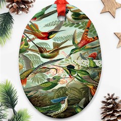 Beautiful Bird Ornament (Oval)