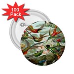 Beautiful Bird 2.25  Buttons (100 pack)  Front