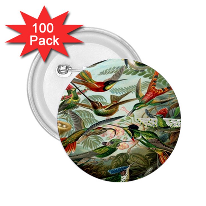 Beautiful Bird 2.25  Buttons (100 pack) 