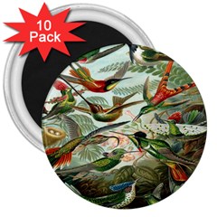 Beautiful Bird 3  Magnets (10 pack) 