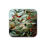 Beautiful Bird Rubber Coaster (Square)  Front