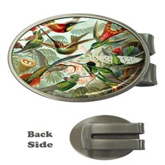 Beautiful Bird Money Clips (oval)  by Nexatart