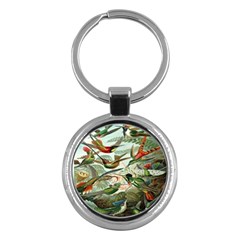 Beautiful Bird Key Chains (round)  by Nexatart