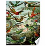 Beautiful Bird Canvas 36  x 48   35.26 x46.15  Canvas - 1