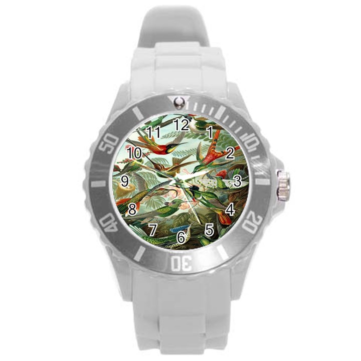 Beautiful Bird Round Plastic Sport Watch (L)