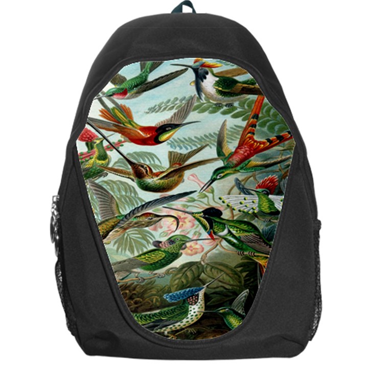 Beautiful Bird Backpack Bag