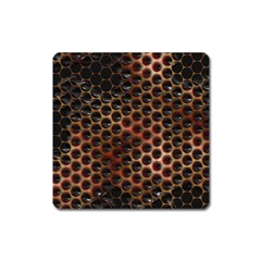 Beehive Pattern Square Magnet by Nexatart