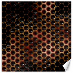 Beehive Pattern Canvas 20  X 20   by Nexatart