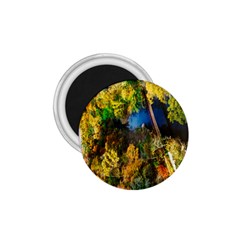 Bridge River Forest Trees Autumn 1 75  Magnets by Nexatart