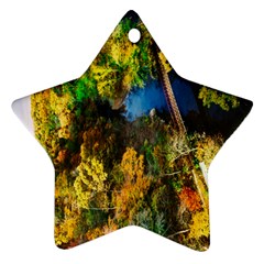 Bridge River Forest Trees Autumn Ornament (star) by Nexatart