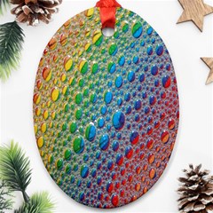 Bubbles Rainbow Colourful Colors Ornament (oval) by Nexatart