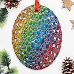 Bubbles Rainbow Colourful Colors Ornament (oval Filigree) by Nexatart